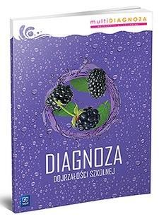 Diagnoza Dojrza O Ci Szkolnej Logopedia I Pedagogika Diagnoza