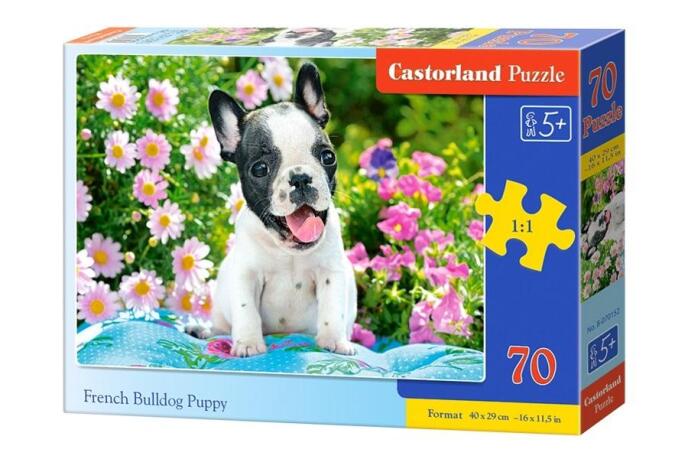 Puzzle 70 Szczeniak buldoga francuskiego CASTOR